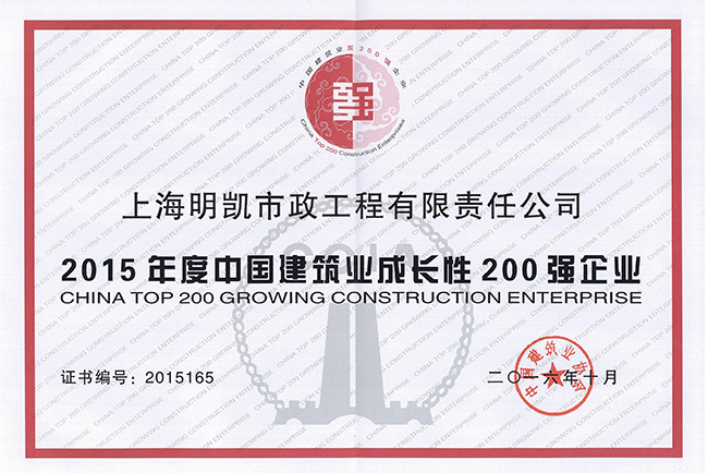 中国建筑业成长性200强企业证书